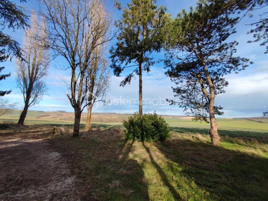 Pavillon de plain pied avec une grange de 210m²,un garage et un hangar sur 4827 m² de terrain – 3 pièces – 2 chambres – 60 m²