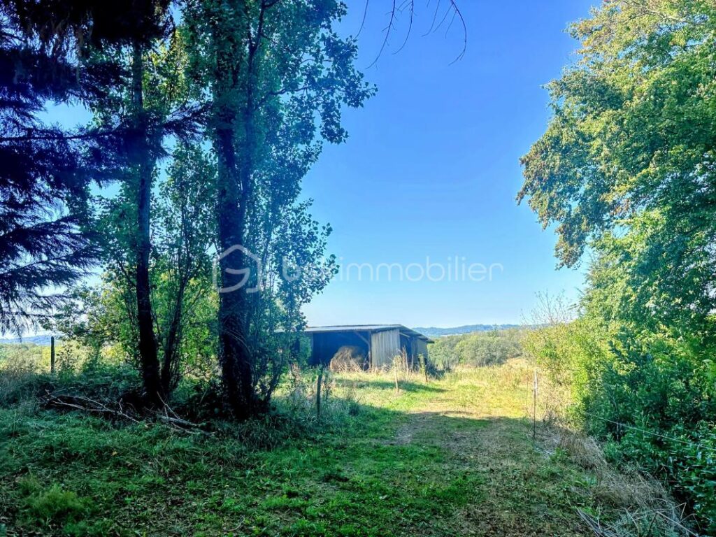 Propriété Gersoise avec deux maisons et 4,5 hectares, idéale pour différents projets – 8 pièces – 3 chambres – 148 m²