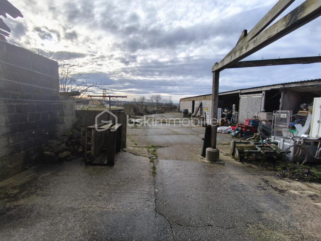 Maison de charme en pierre – Volumes, lumière et sérénité au cœur des marais – 7 pièces – 4 chambres – 245 m²