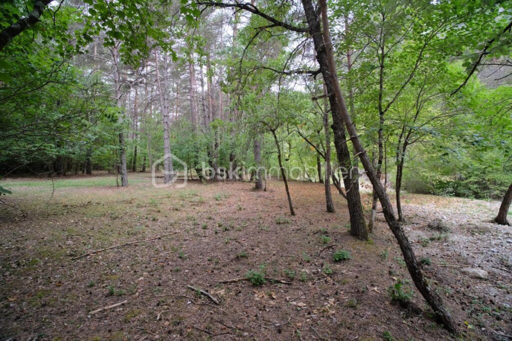 Chalet récent en bois au bord de la rivière sur un terrain plat de 5 460 m² – 3 pièces – 2 chambres – 70 m²