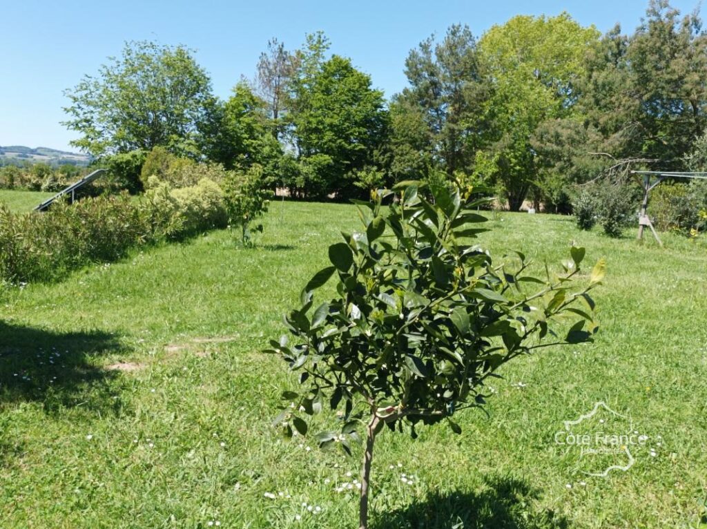 Secteur SALIES DE BEARN: A de 5mn de Salies, Villa autonome – 7 pièces – 4 chambres – 187 m²