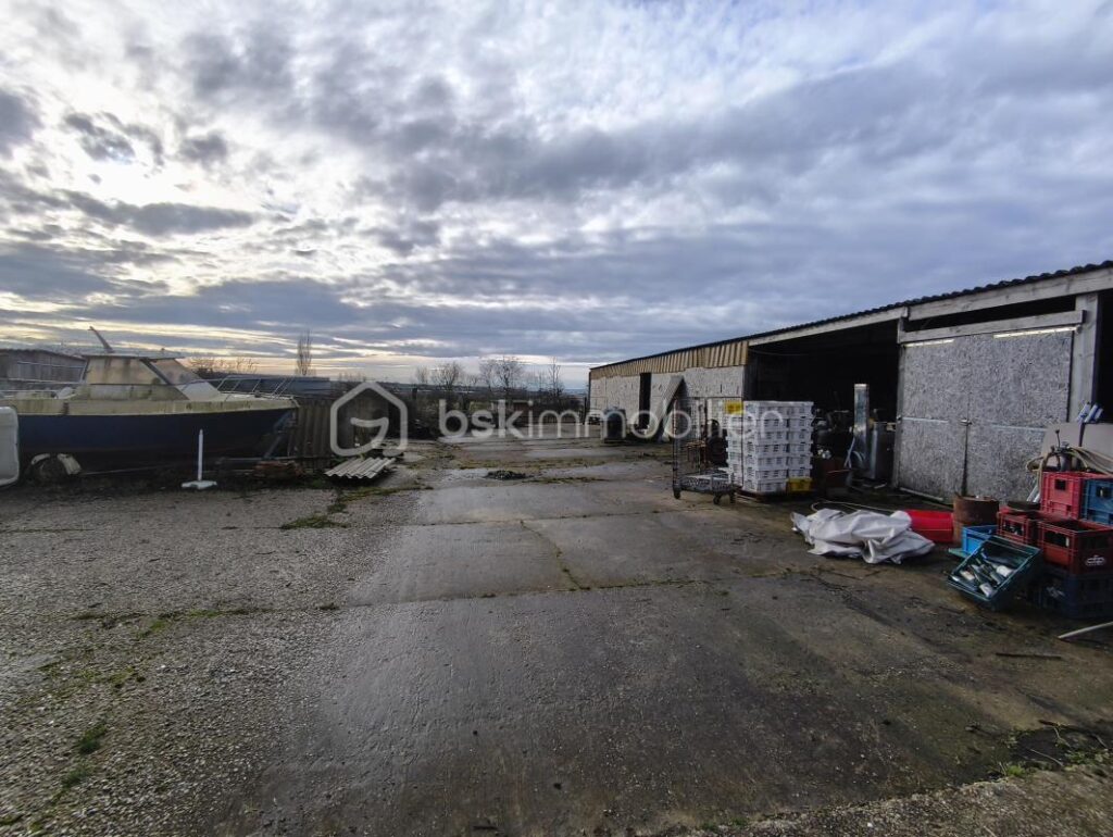 Maison de charme en pierre – Volumes, lumière et sérénité au cœur des marais – 7 pièces – 4 chambres – 245 m²