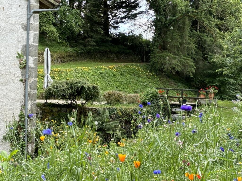 Ancien moulin avec droit d’eau et 2,2 hectares du terrain, C – 7 pièces – 4 chambres – 209 m²