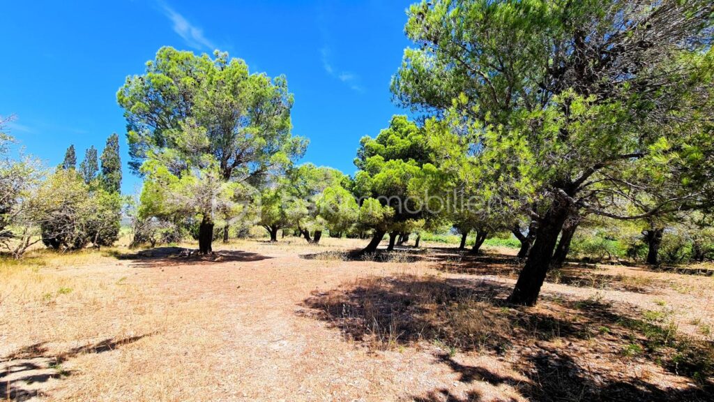 ***Propriété atypique- 299m²- T8- Terrasse- Cour- Garage- Extérieur- Calme- Vue***- Isolé- La Palme*** – 9 pièces – 6 chambres – 299 m²