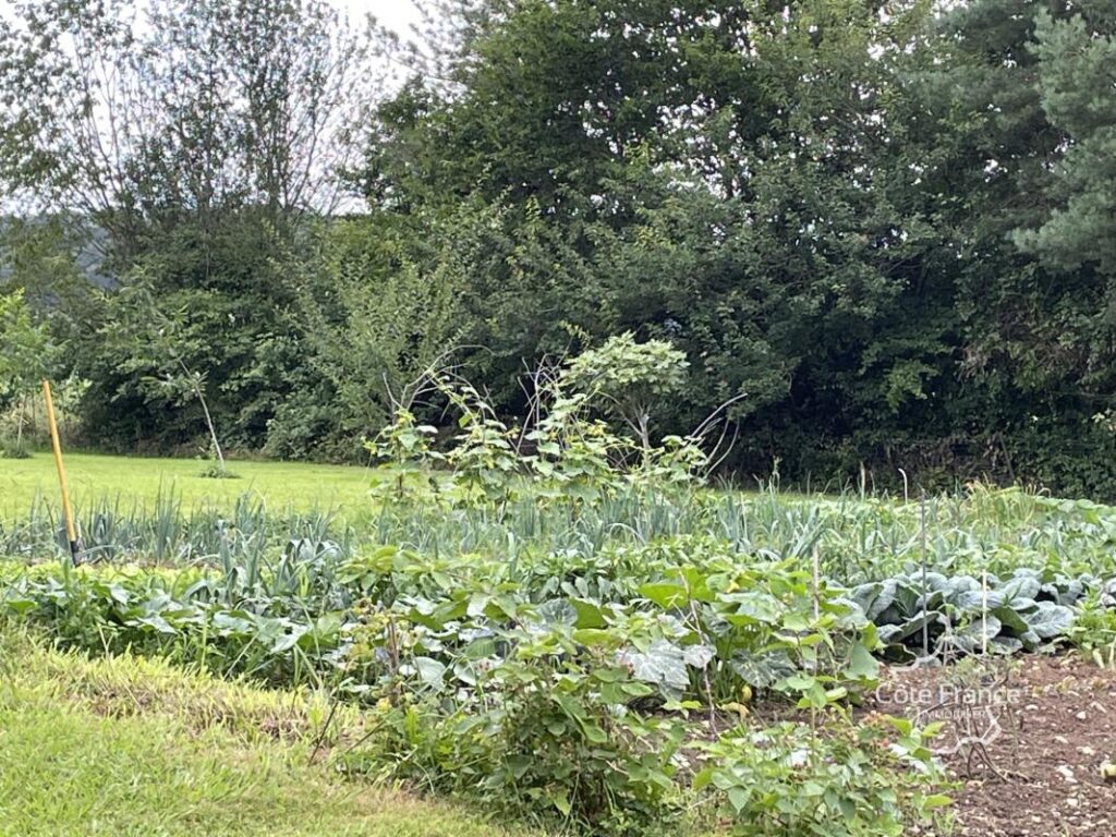 Secteur SALIES DE BEARN: A de 5mn de Salies, Villa autonome – 7 pièces – 4 chambres – 187 m²