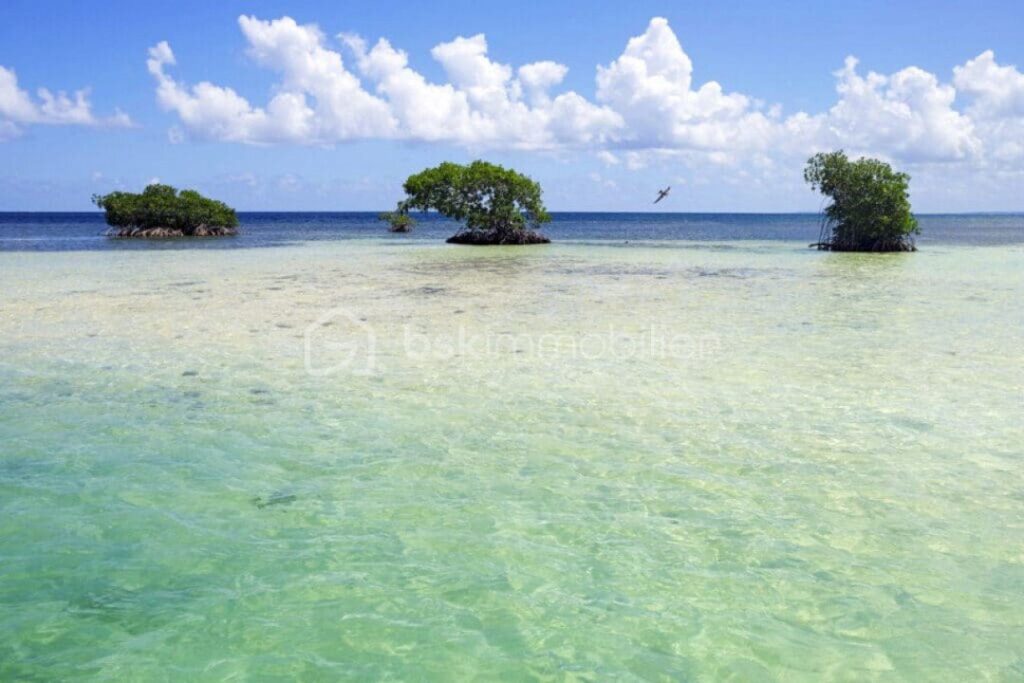 MAISON – 8 pièces – 6 chambres – 193 m²