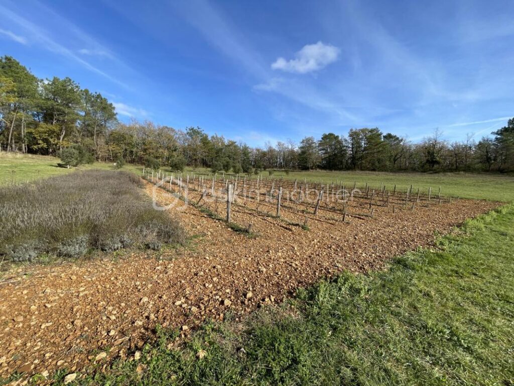 Propriété sans voisin proche, au calme absolu – 6 pièces – 4 chambres – 151 m²