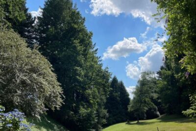 Ancien moulin avec droit d&rsquo;eau et 2,2 hectares du terrain, C – 7 pièces – 4 chambres – 209 m²