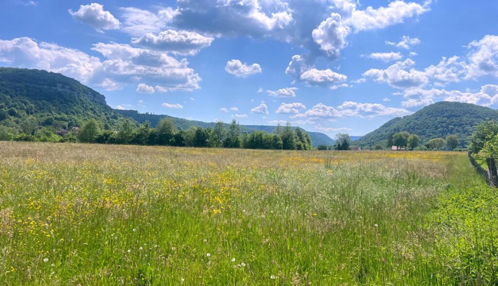 Terrain plat 1301 m2 constructible au calme – NR pièces – NR chambres – 1301 m²