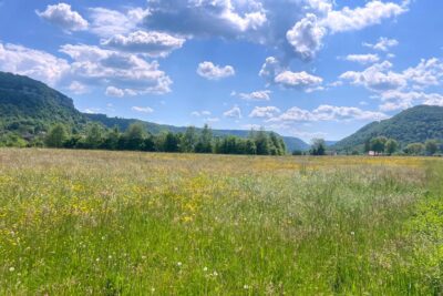 Terrain plat 1301 m2 constructible au calme – NR pièces – NR chambres – 1301 m²