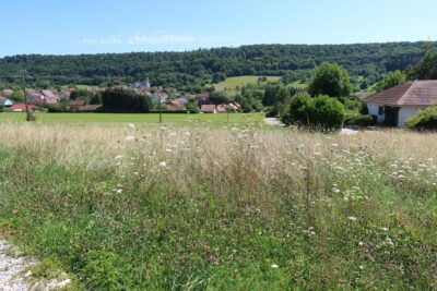 terrain constructible viabilisé – NR pièces – NR chambres – 982 m²