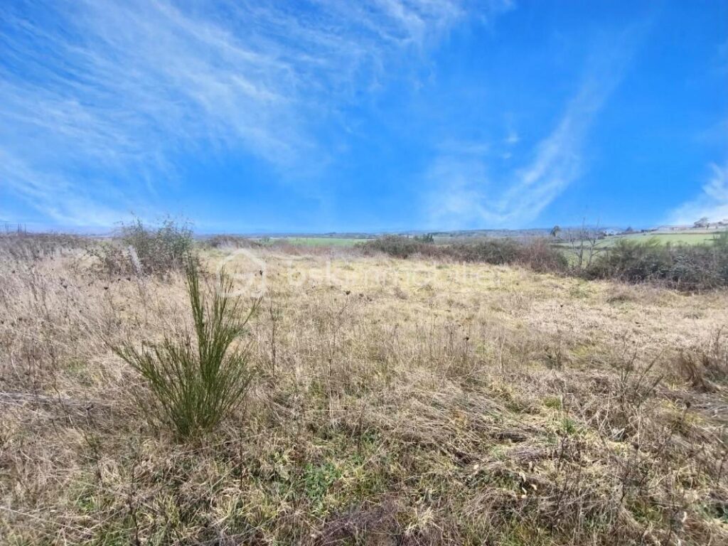 🌿 Terrain 2 037 m² avec vue dégagée – Nollieux (42260) – NR pièces – NR chambres – 2037 m²