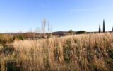 Terrain à bâtir 750 m² – Le Bosc, proche A75, environnement paisible – NR pièces – NR chambres – 750 m²