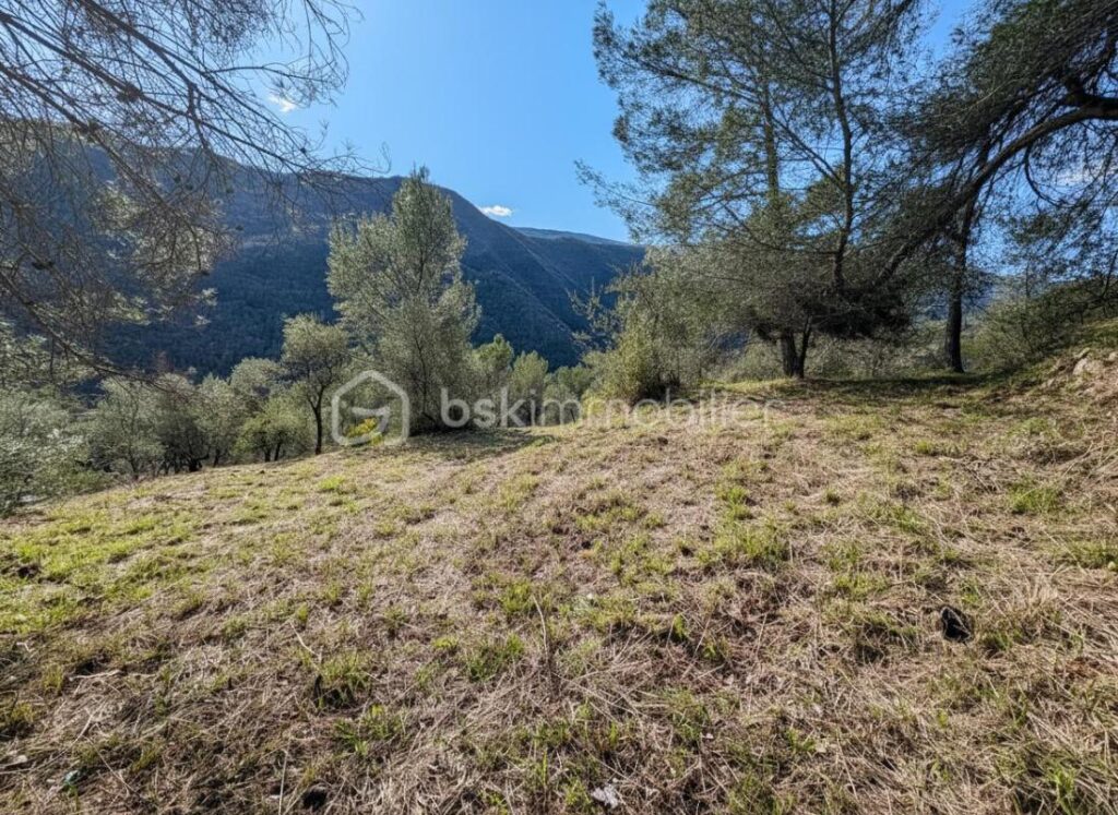 Rare à Pierrefeu : 3 046 m² de nature dont 1 084 m² constructibles, accès direct et étude de sol déjà réalisée – NR pièces – NR chambres – 3046 m²