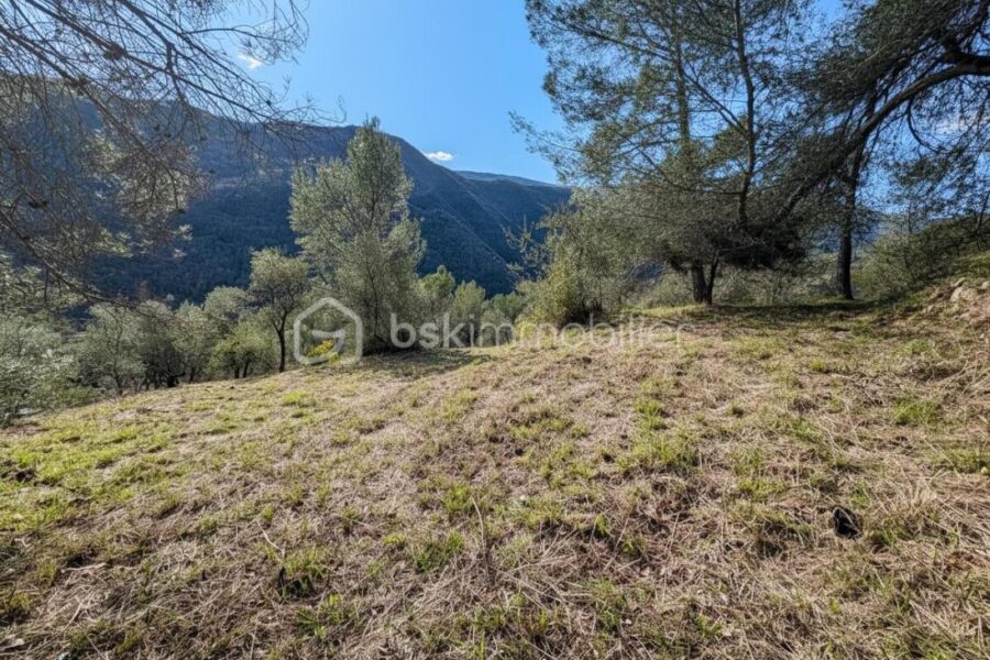 Terrain à vendre à Pierrefeu