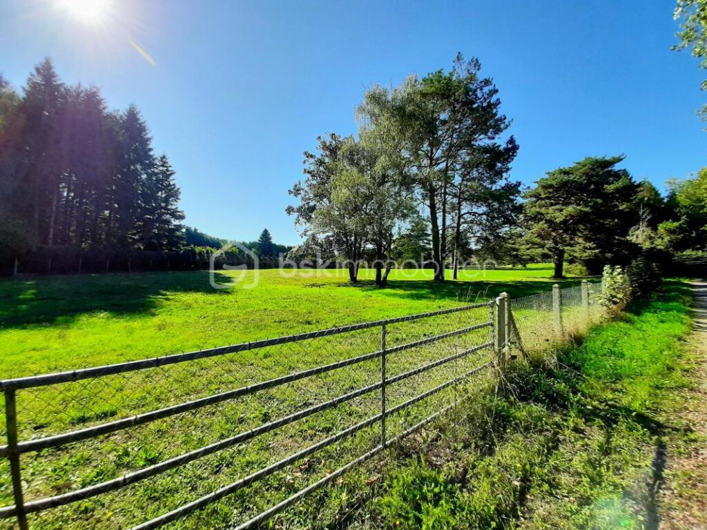 Terrain constructible de 4690 m² – Cognac-la-Forêt 87310 – NR pièces – NR chambres – 4690 m²