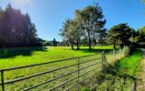 Terrain constructible de 4690 m² – Cognac-la-Forêt 87310 – NR pièces – NR chambres – 4690 m²