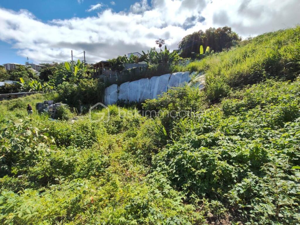 Secteur Pichette – Terrain à bâtir de 508m² avec vue mer – NR pièces – NR chambres – 508 m²