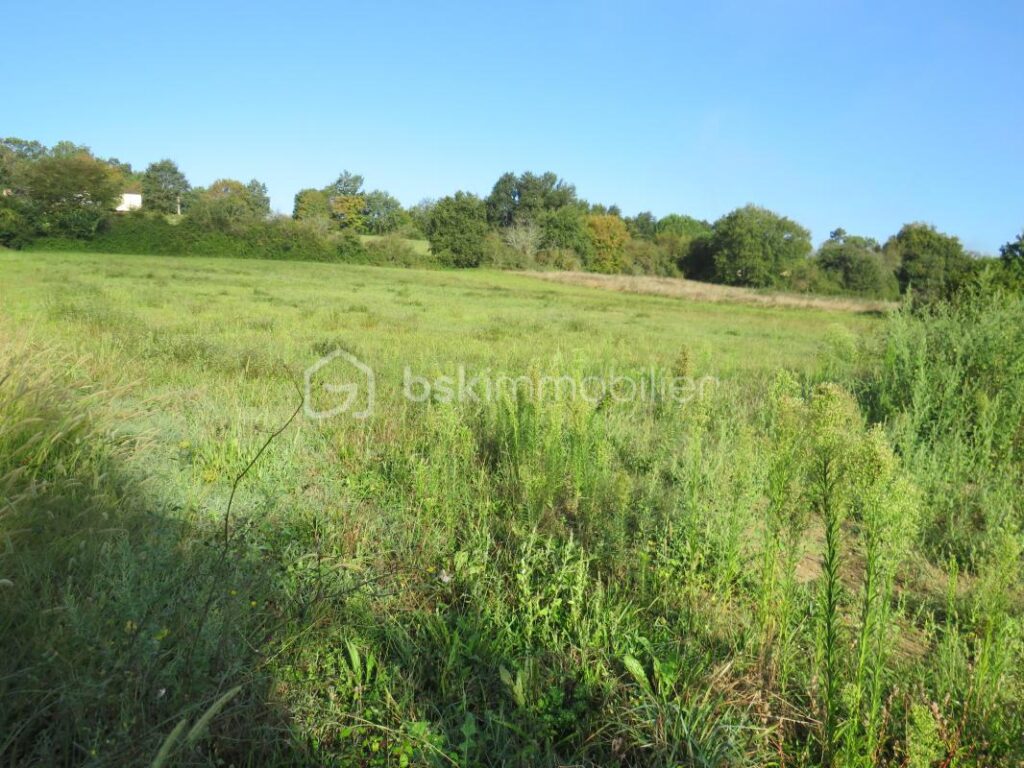 Terrain constructible de 6038 m² au calme vue dominante – NR pièces – NR chambres – 6038 m²
