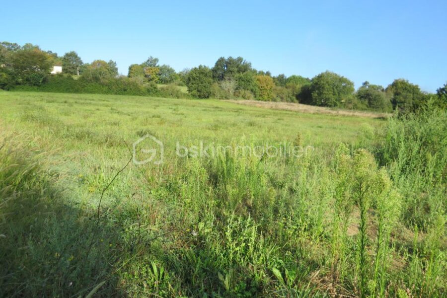 Terrain à vendre à Baliracq maumusson