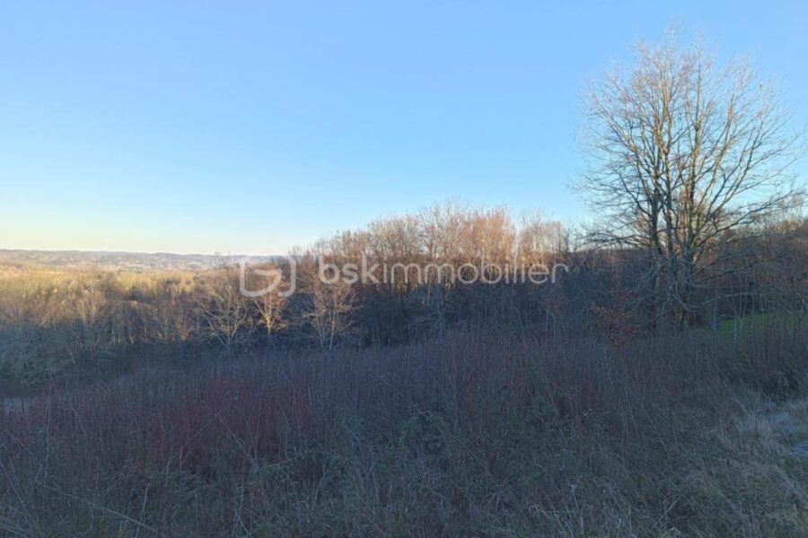 Terrain à vendre à Le buisson de cadouin