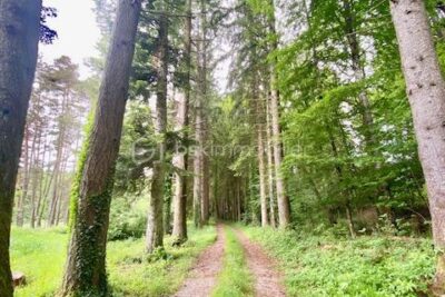 Villa de 16 pièces et 640 m² sur 2 ha de terrain avec piscine – NR pièces – 11 chambres – 641 m²