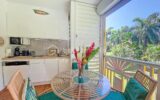 Appartement d’angle vue cocoteraie Anse des Rochers – 1 pièce – 1 chambre – 19 m²