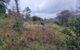 TERRAIN CONSTRUCTIBLE 1792 m² viabilisé – NR pièces – NR chambres – 1792 m²