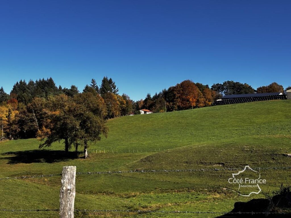 Maison d’été très charmante avec plus de 5 hectares du terra – 3 pièces – 2 chambres – 65 m²