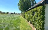 Maison à vendre à Nogent le roi — Vue nature — photo 30