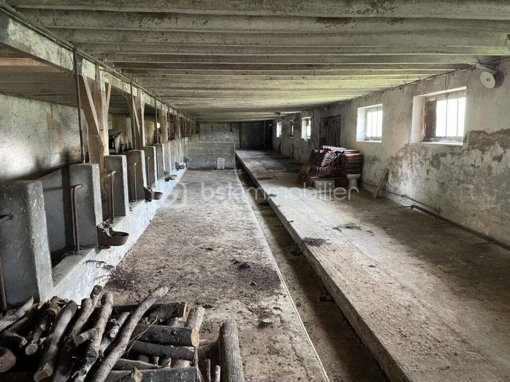 Magnifique bâtisse en pierre de 219m² habitable avec environ 658m² de dépendance sur 10600m² partiellement clos – 7 pièces – 4 chambres – 219 m²