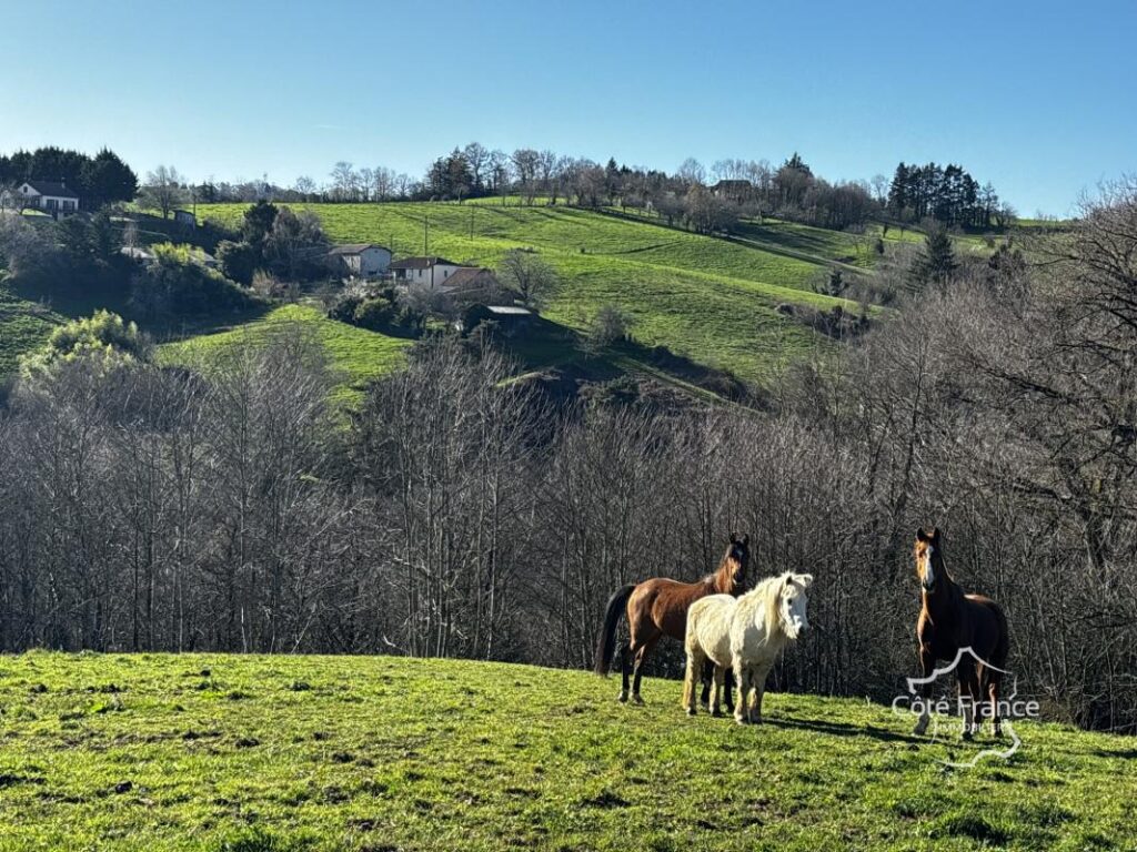 Corps de ferme avec maison d’habitation et appartement, gran – 6 pièces – 4 chambres – 130 m²