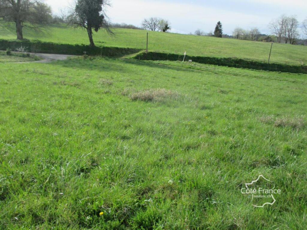 DORDOGNE- TERRAIN A BATIR- BELVES- 24170 – NR pièces – NR chambres – 3000 m²