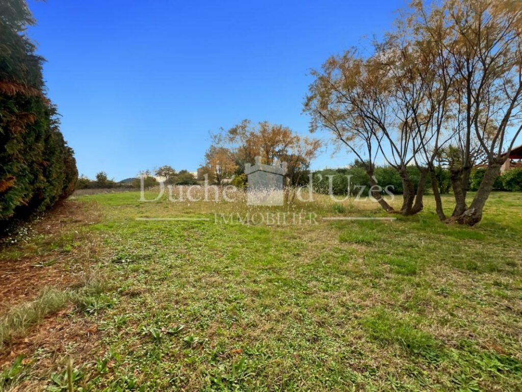 Terrain – NR pièces – NR chambres – 900 m²