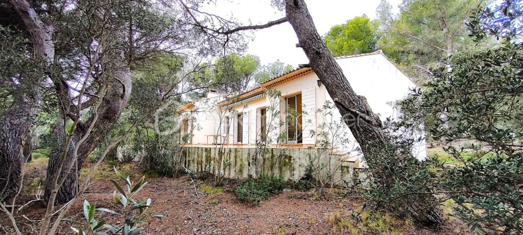 Magnifique maison sur une grande parcelle avec une dépendance et un garage , au bord de la plage de l’étang de Berre , sur Saint-Chamas – 4 pièces – 3 chambres – 127 m²