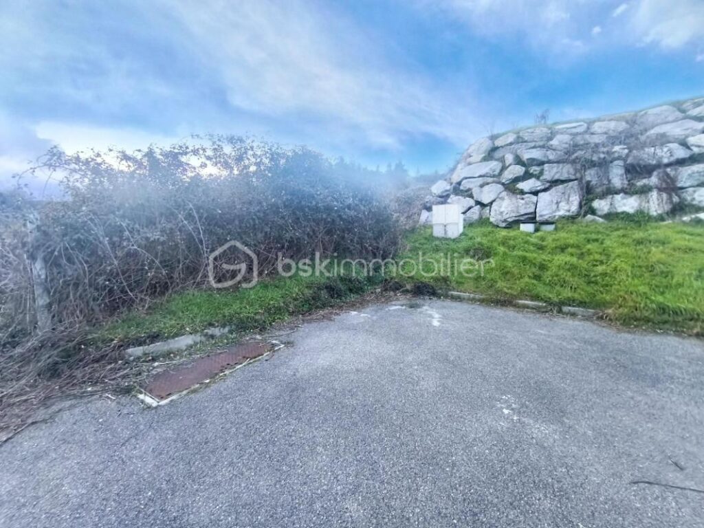 🌿 Terrain 2 037 m² avec vue dégagée – Nollieux (42260) – NR pièces – NR chambres – 2037 m²