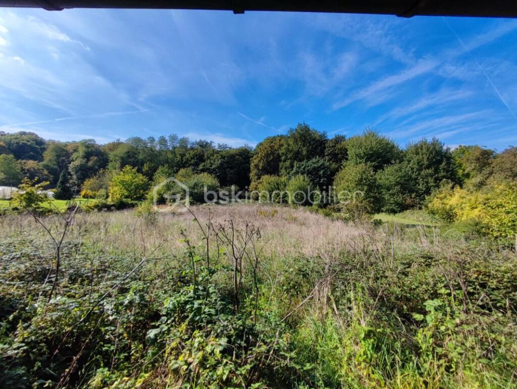 Une propriété comprenant deux habitations, une longère de 100 m² et un logement de 42 m² avec une grange et dépendances, cave sur 3406 m² de parcelle – 5 pièces – 3 chambres – 129 m²