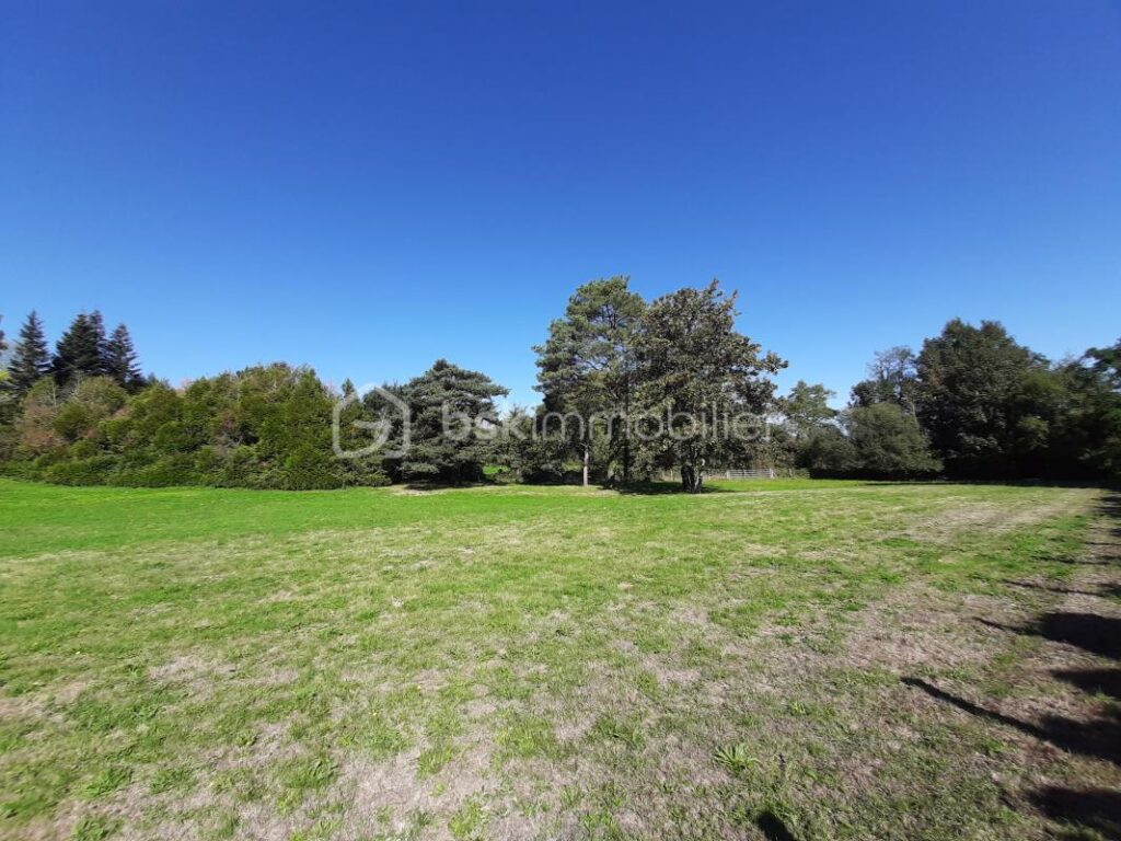 Terrain constructible de 4690 m² – Cognac-la-Forêt 87310 – NR pièces – NR chambres – 4690 m²