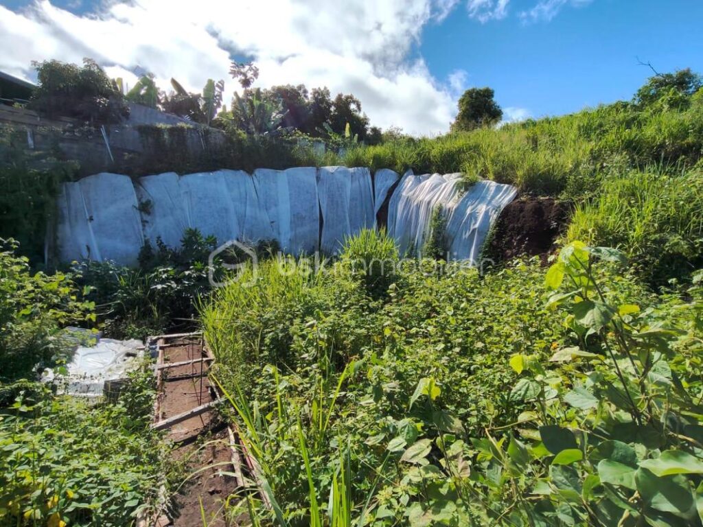 Secteur Pichette – Terrain à bâtir de 508m² avec vue mer – NR pièces – NR chambres – 508 m²