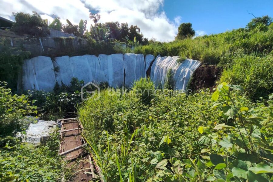 Terrain à vendre à La Possession