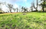 Terrain 2390 m² à Montrol-Sénard – NR pièces – NR chambres – 2390 m²