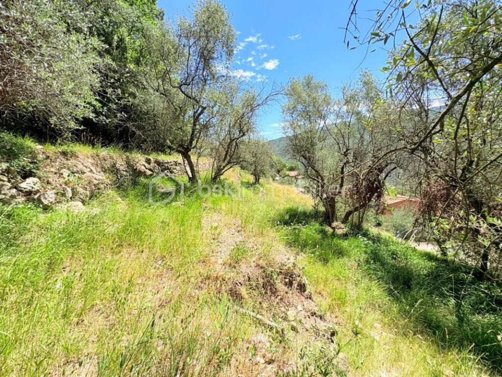 🌿 Terrain constructible – Pierrefeu (06910) 🌿 – NR pièces – NR chambres – 3077 m²