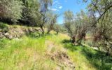 🌿 Terrain constructible – Pierrefeu (06910) 🌿 – NR pièces – NR chambres – 3077 m²