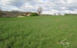 DORDOGNE- TERRAIN A BATIR- BELVES- 24170 – NR pièces – NR chambres – 3000 m²