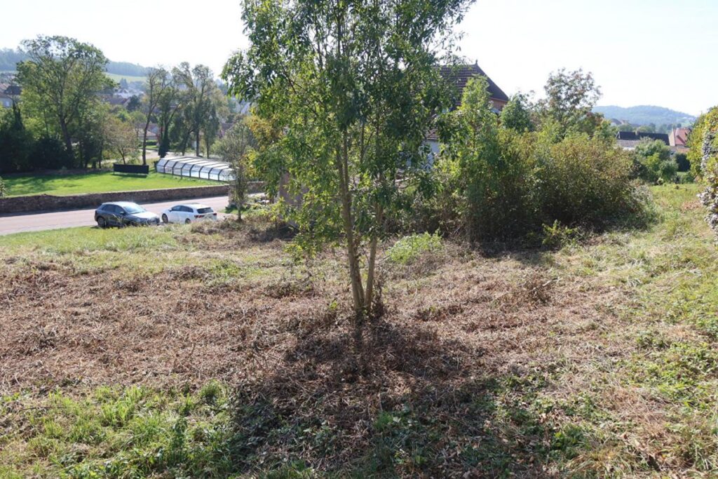 Terrain Pouilley Les Vignes – 5 pièces – 4 chambres – 120 m²