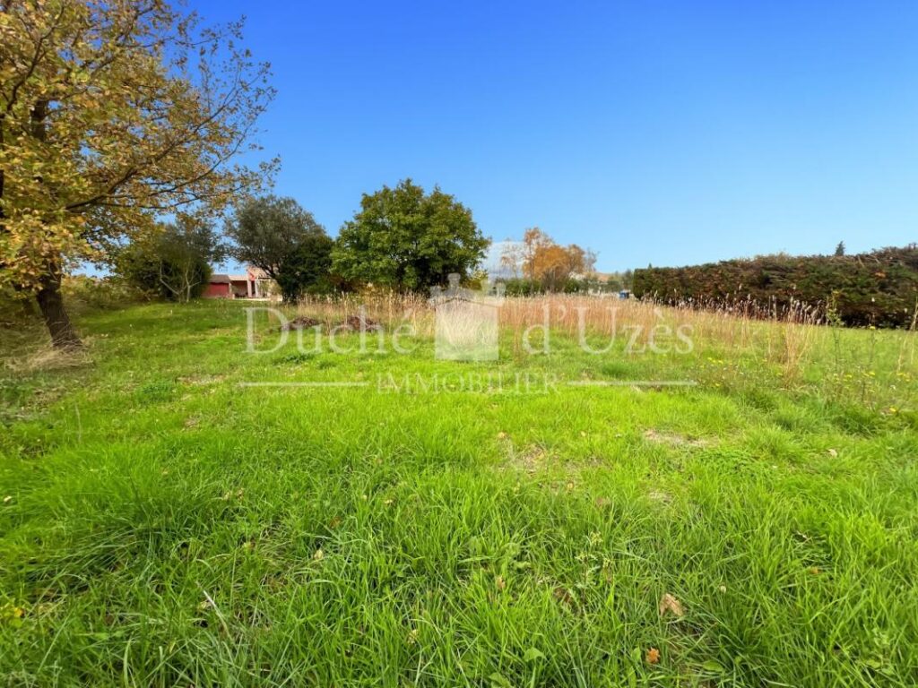 Terrain – NR pièces – NR chambres – 900 m²