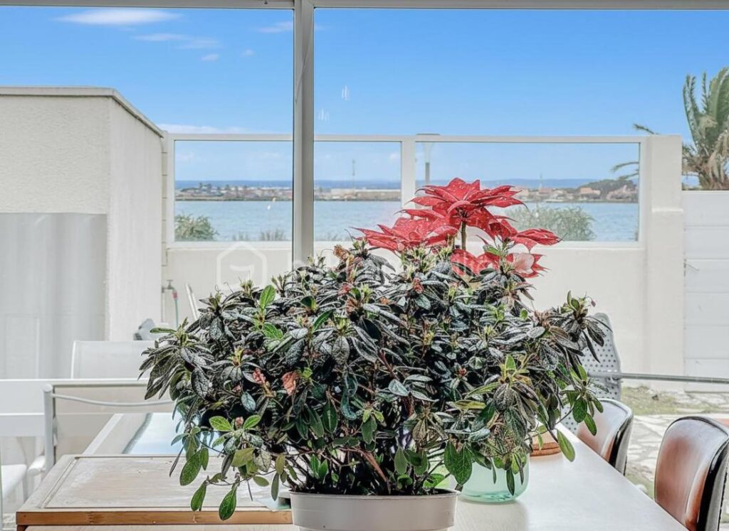 Villa T5 – 106 m² – Vue exceptionnelle sur les étangs – Appartement indépendant – DPE B – 5 pièces – 4 chambres – 106 m²