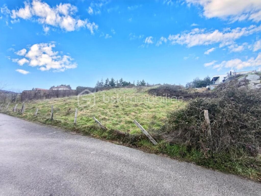 🌿 Terrain 2 037 m² avec vue dégagée – Nollieux (42260) – NR pièces – NR chambres – 2037 m²