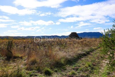 Terrain à vendre à Lacoste