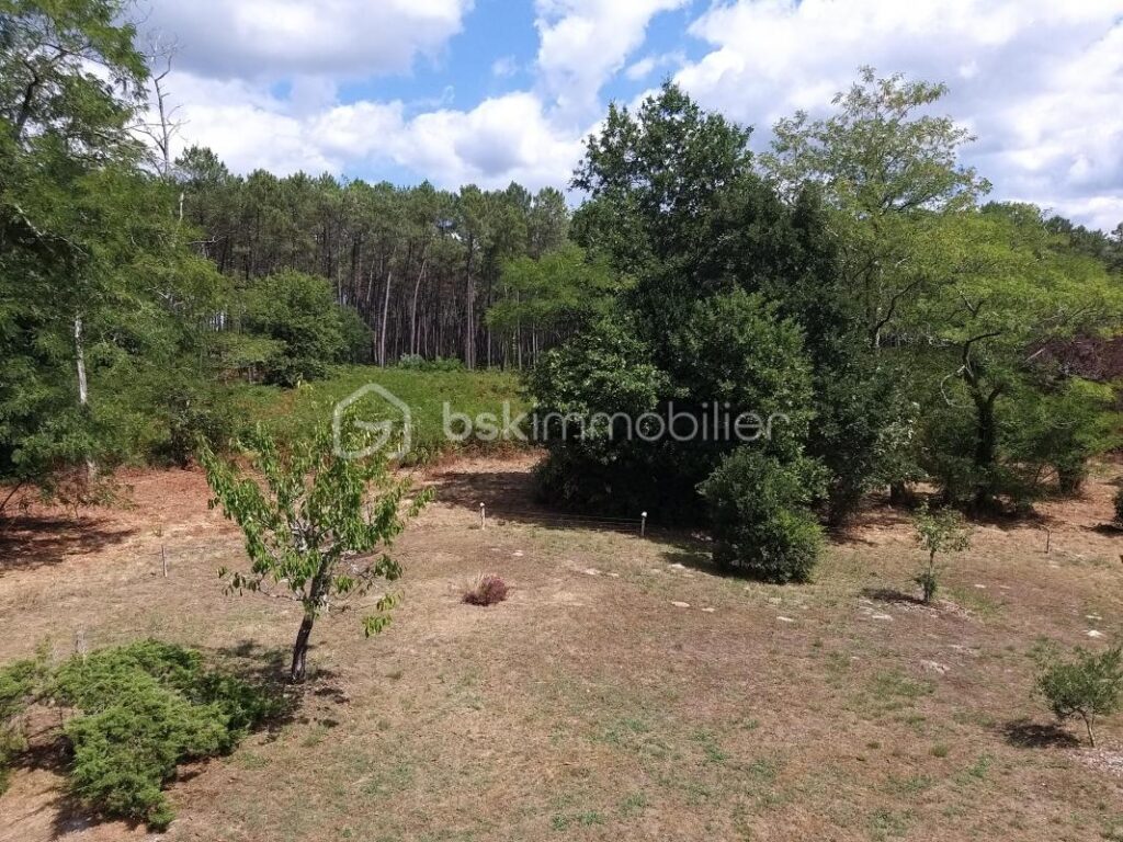 Maison familiale avec piscine et dépendances à Onesse-et-Laharie (40110) – 4 pièces – 3 chambres – 117 m²
